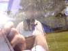 DSC00144.JPG
