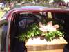 DSC00145.JPG