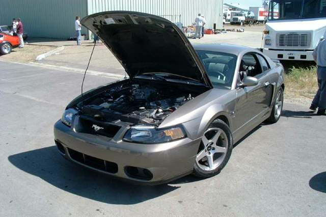 Moridin's 2003 supercharged SVT cobra, dynoes almost 500rwhp